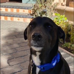 Meet your Posher, Dave